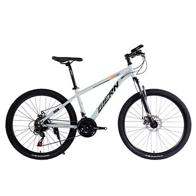 Teräsrunko Hardtail Mtb