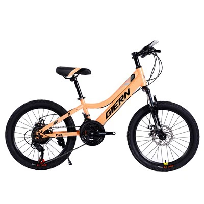 Teräs Hardtail Frame 20 MTB