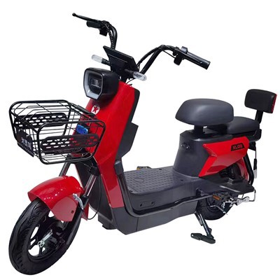 500W Electric STCOOTER-E-BIKE kahdella pyörällä